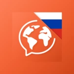 russian android application logo